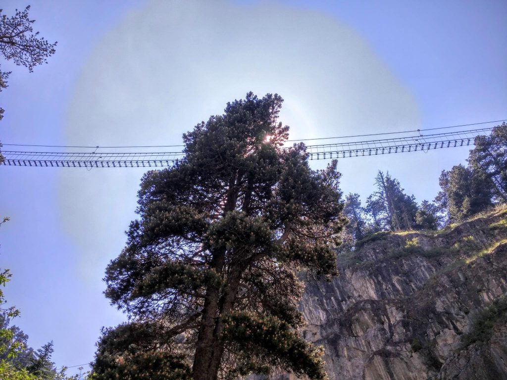 Ponte Tibetano Cesana - Claviere. Foto FB