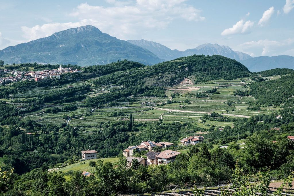 "Anticipare i conflitti nell’uso della foresta. Giovani esperti al lavoro"