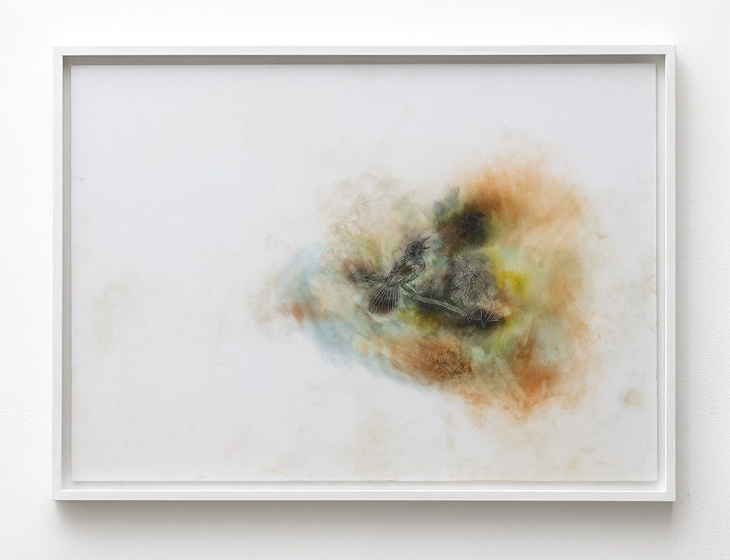 Ecophilia - Corinna Gosmaro, CHUTZPAH!, 2021 - Museo Nazionale della Montagna