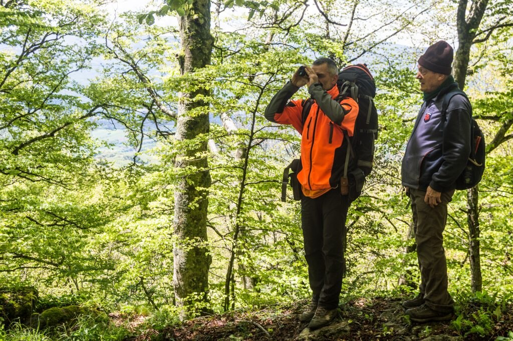 Foto Giant Trees Foundation