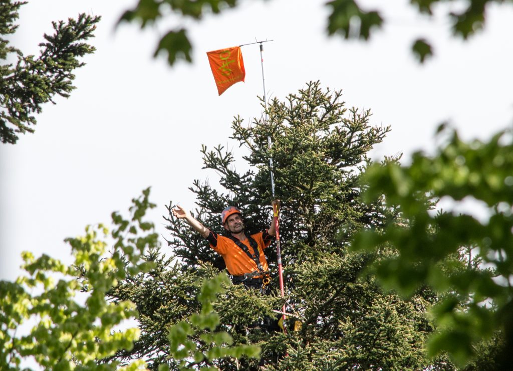 Foto Giant Trees Foundation