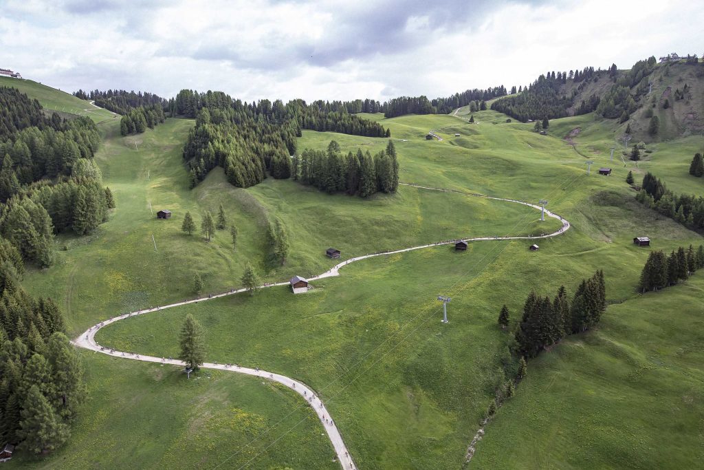 Copyright © freddy planinschek