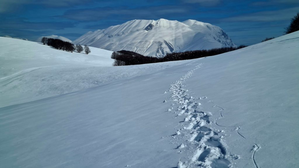 Il Monte Vettore dai Pantani d