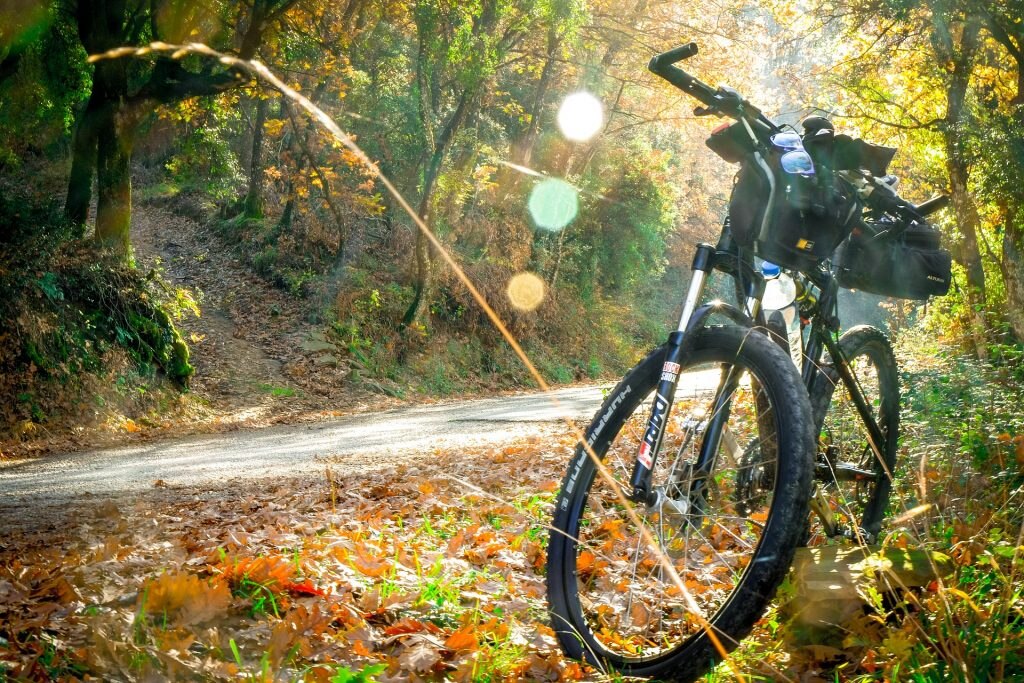 Mountain bike nel bosco - Foto Antonios Ntoumas @Pixabay 