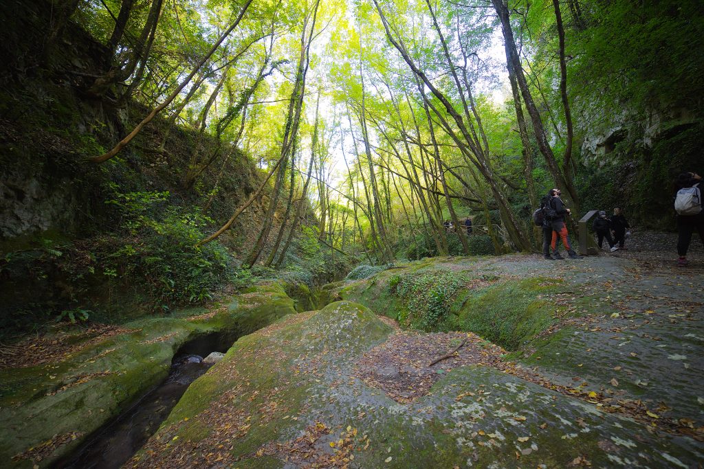 Sentieri verdi - Foto Patrick @Unsplash