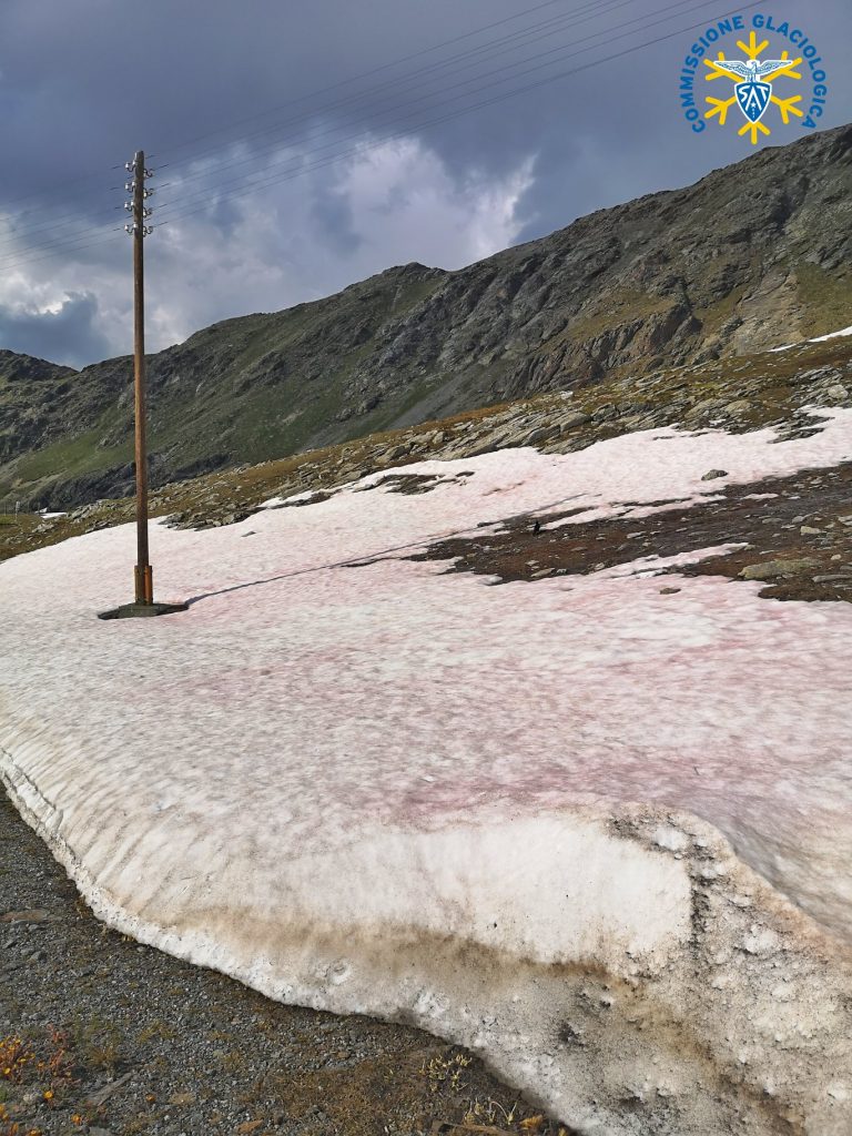 Neve rossa. Foto FB Commissione Glaciologica SAT