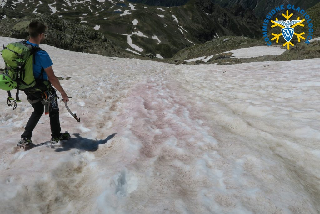 Neve rossa - Foto FB Commissione Glaciologica SAT