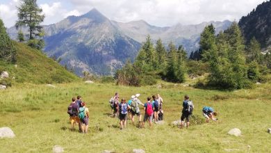 Photo of Giornate delle Oasi WWF: una grande festa della natura