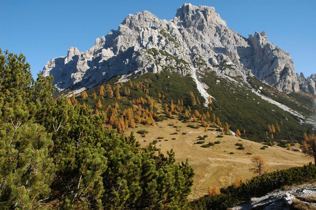 Foto Facebook Parco Nazionale Dolomiti Bellunesi