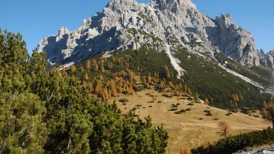 Foto Facebook Parco Nazionale Dolomiti Bellunesi