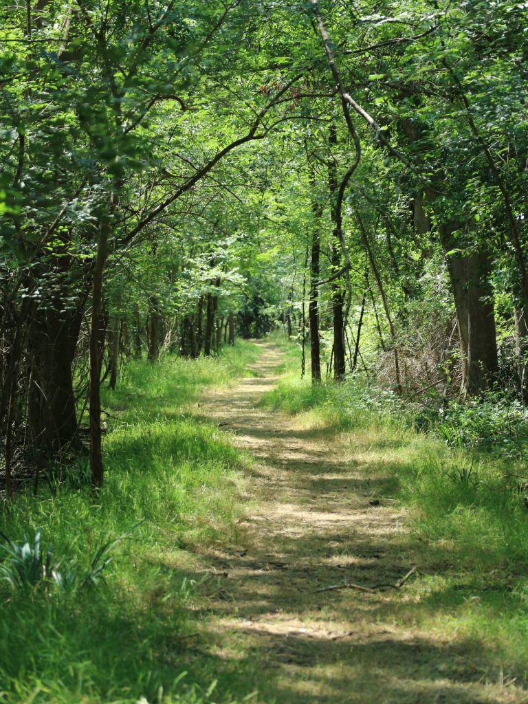 Foto Fb Oasi WWF Bosco di Cornacchiaia