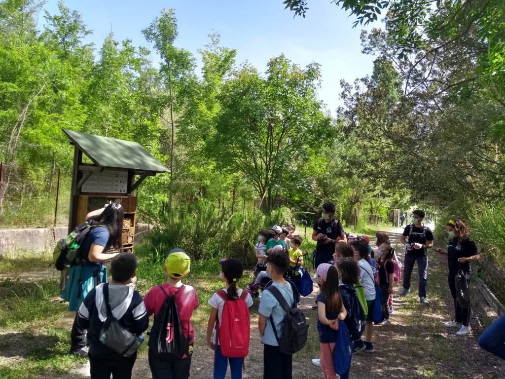 Foto FB Oasi WWF Riserva Naturale Regionale Lago di Serranella