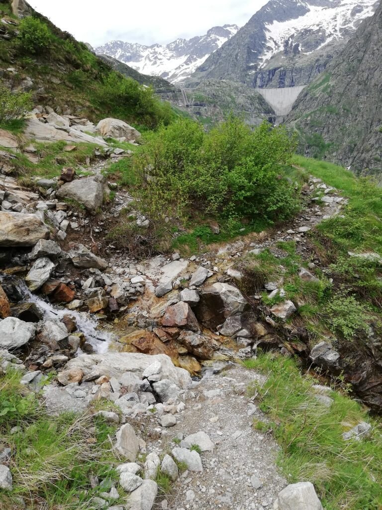 Foto FB Aree Protette Alpi Marittime