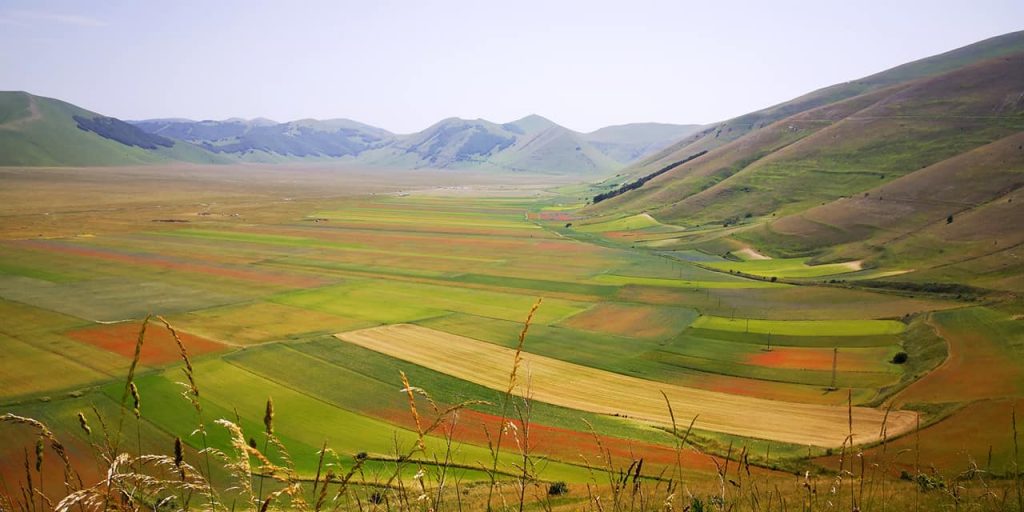 Castelluccio di Norcia, Pian Grande fine giugno 2021 - Foto Tatiana Marras