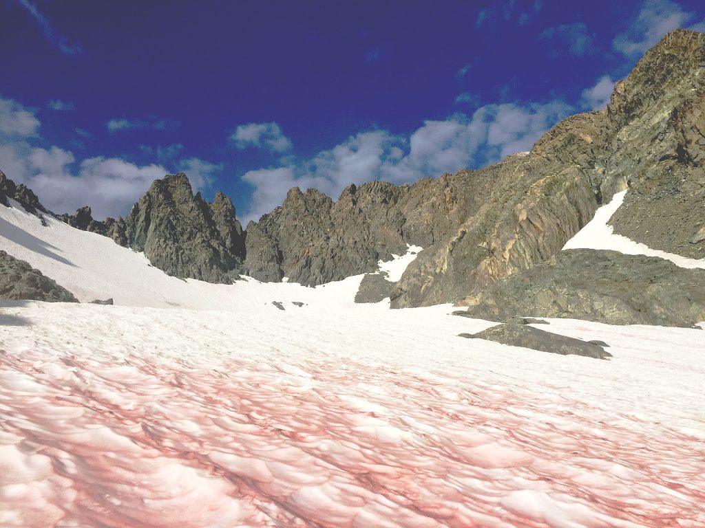 Mount Ritter, California. Scenografica neve rosa. Foto Wikimedia Commons @Pacific Southwest Region 5