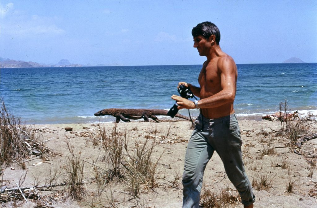 Archivio Bonatti - Museomontagna