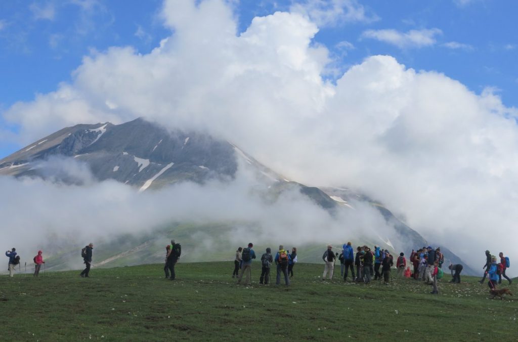 in cammino nei parchi