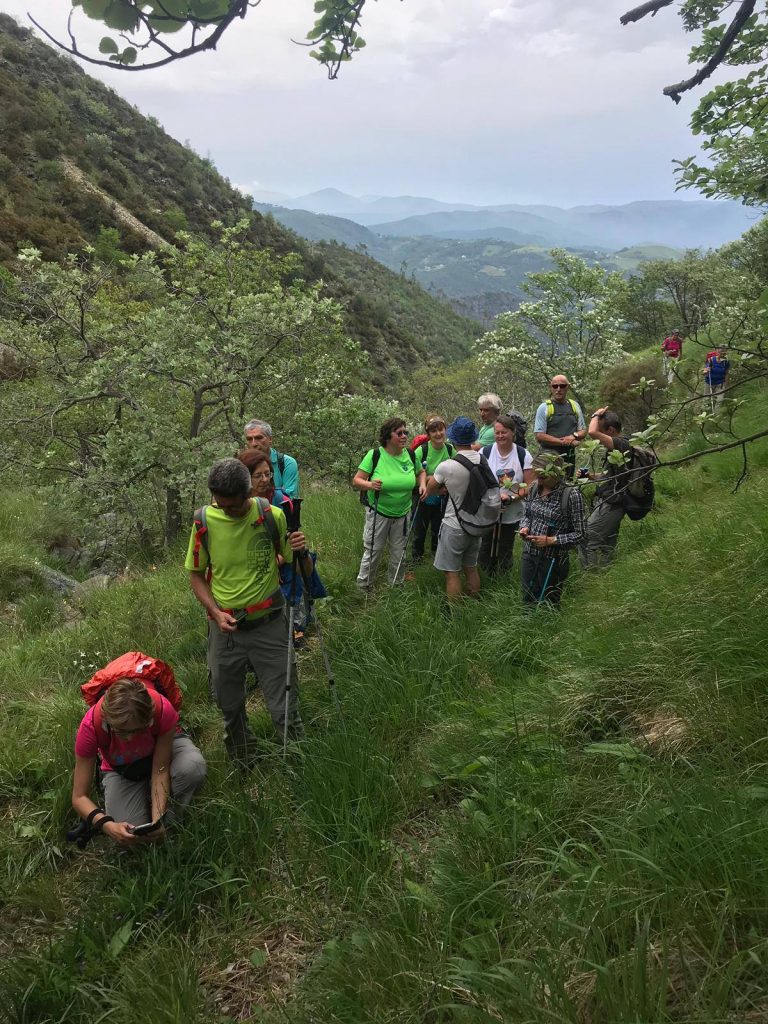 In cammino nei Parchi - Parco Beigua