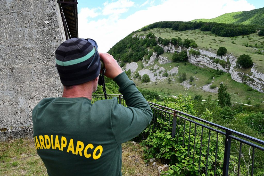 Rovere, un guardiaparco davanti all