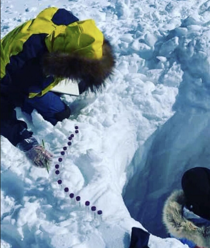 Foto della spedizione 