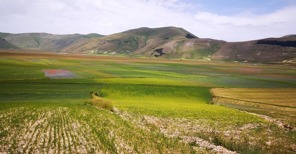 Castelluccio di Norcia, Pian Grande, Parco Nazionale Monti Sibillini. Foto Tatiana Marras