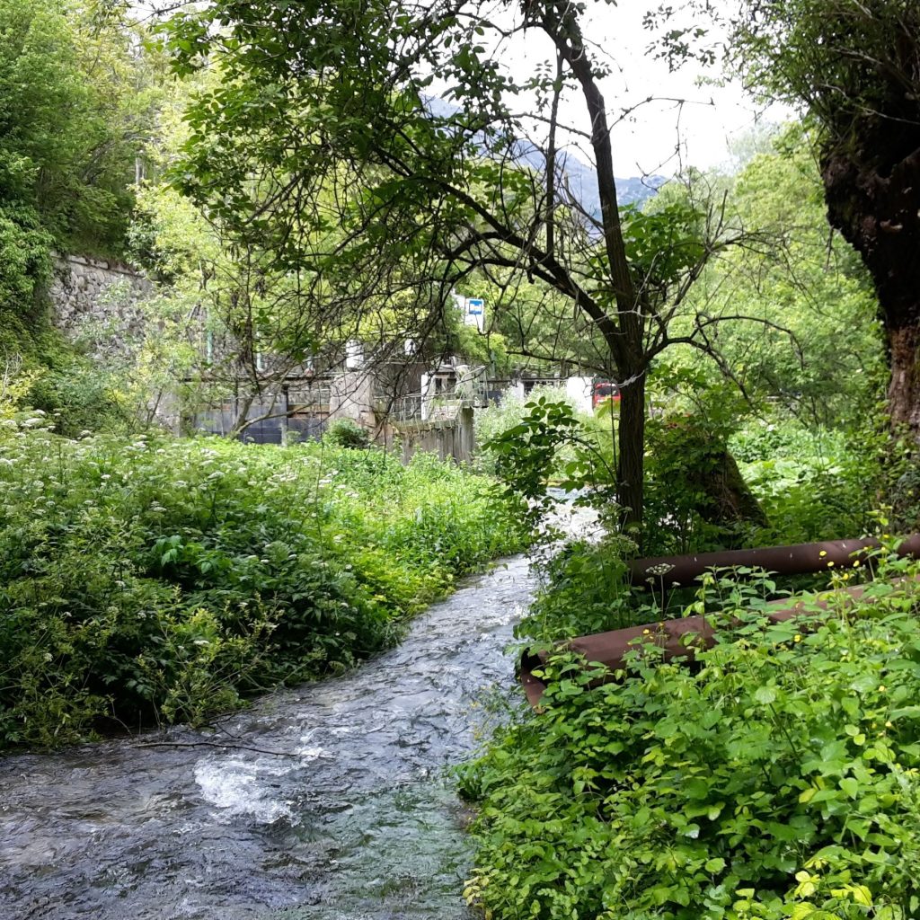 Foto FB Oasi WWF Gole del Sagittario