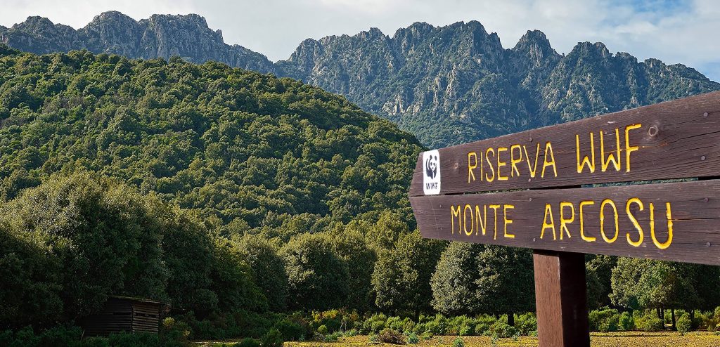 Foto FB Oasi del Cervo e della Luna - Riserva WWF Monte Arcosu