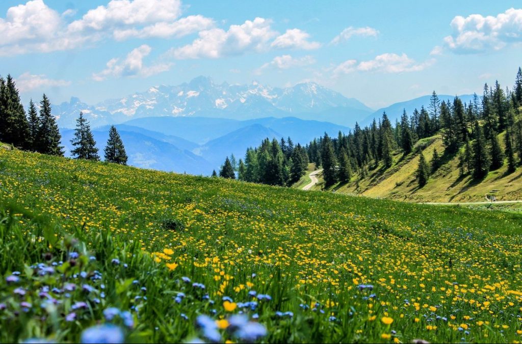 giornata mondiale dell'ambiente