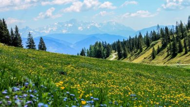 Photo of Giornata Mondiale dell’Ambiente: impegnamoci nel ripristino degli ecosistemi