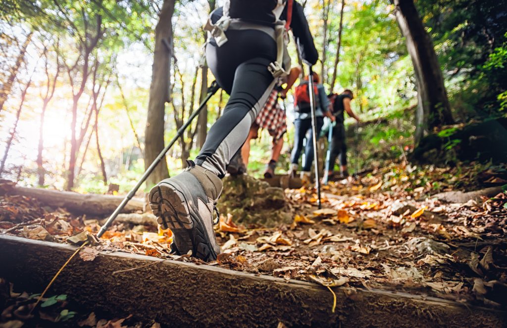 Trekking corno del camoscio. Foto iStock