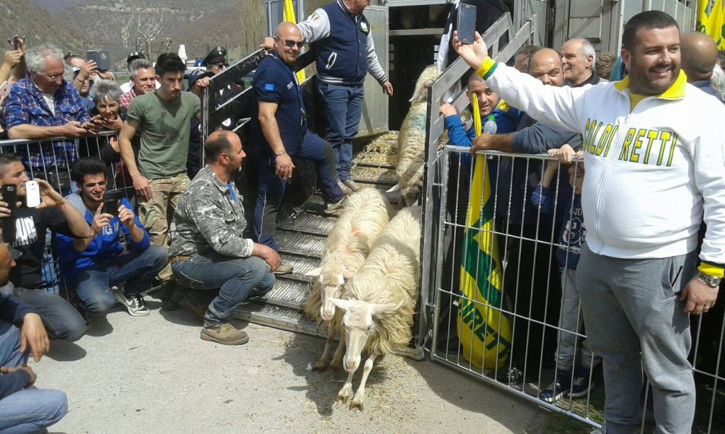Sa paradura a Cascia - Foto FB Coldiretti Alessandria