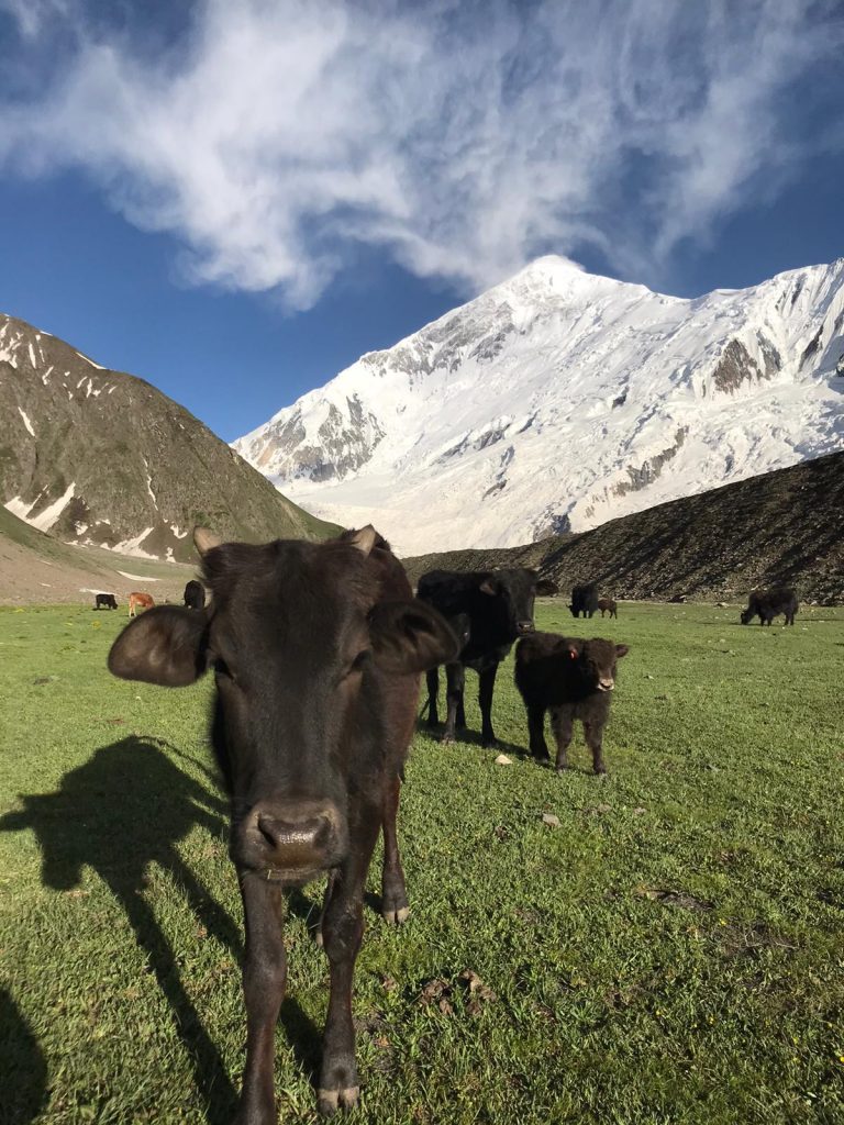 Foto @ Hélias Millerioux