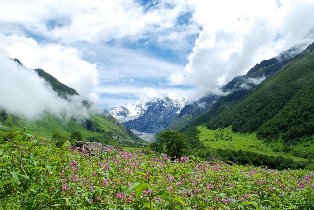 Valley of flowers, Uttarakhand - Foto Wikimedia Commons @Alosh Bennett