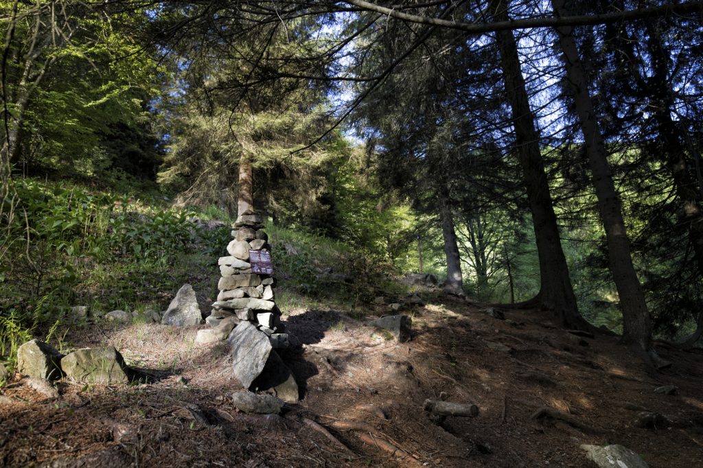 Il Bosco del Sorriso nell