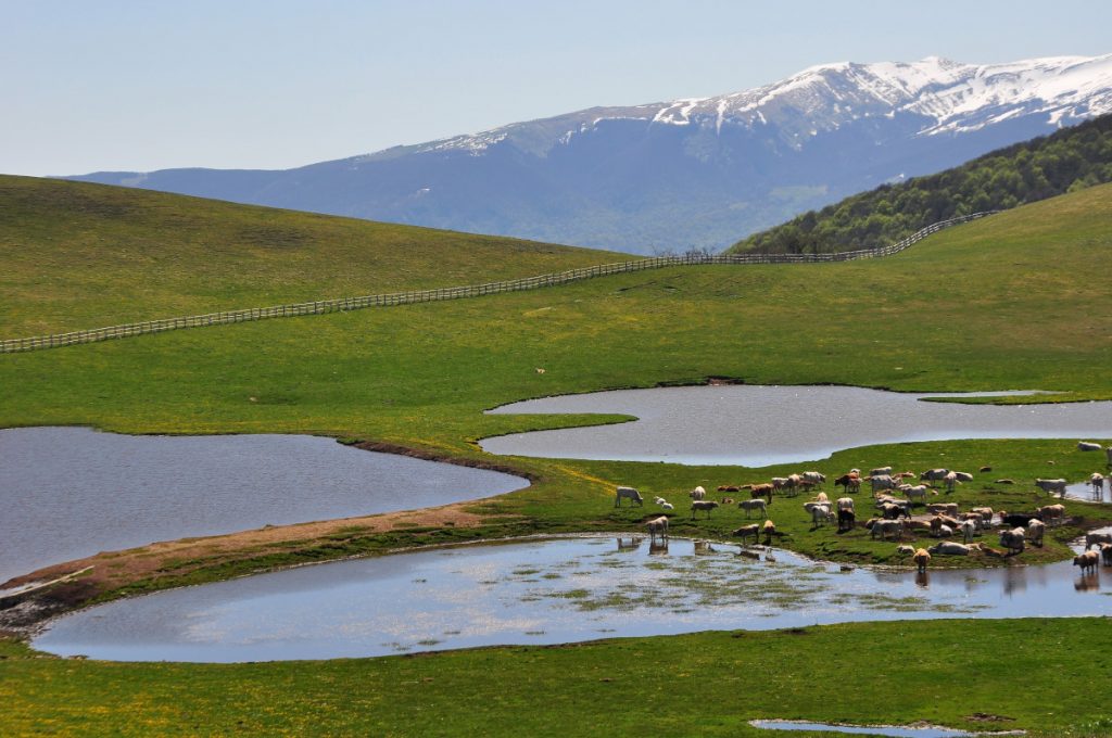 I Pantani e i Monti della Laga