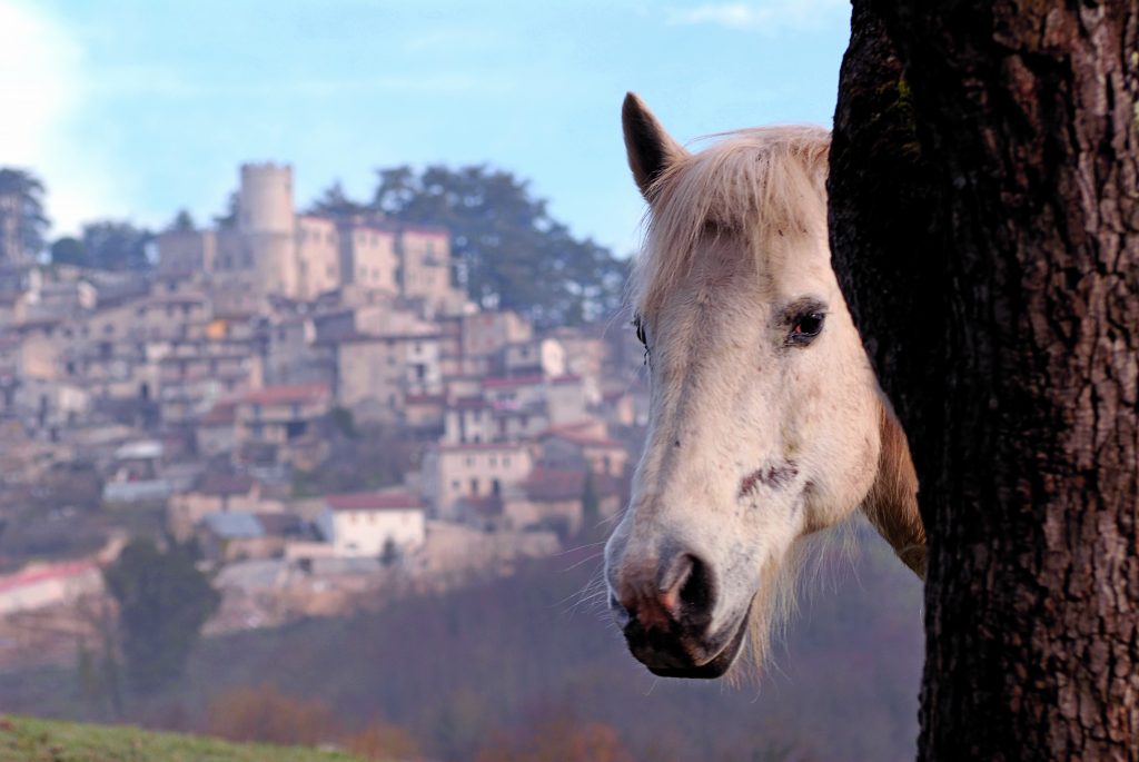 Sullo sfondo, Orvinio, un borgo medievale tra boschi e splendidi panorami, dove le persone vivono una vita semplice, strettamente legata a tradizioni antiche. Foto @ MAURIZIO FORTE
