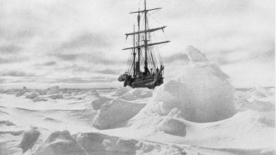 Photo of Scoperti in un ripostiglio i giornali di bordo delle spedizioni antartiche di Shackleton e Scott