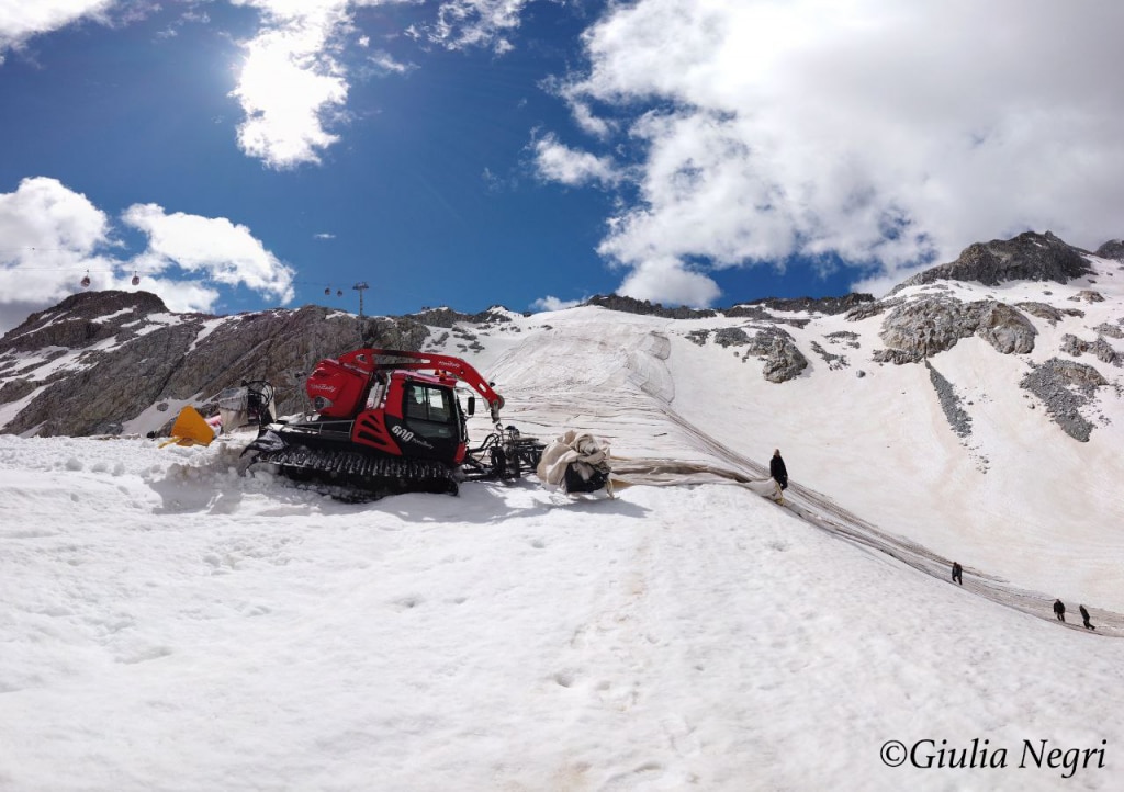 In corso le operazioni di copertura del ghiacciaio Presena con i teli geotessili (foto Giulia Negri)