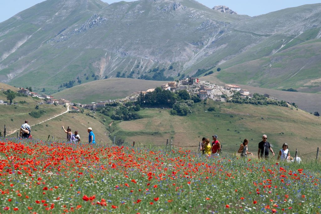 Turisti nella Piana - Foto Francesco Patacchiola