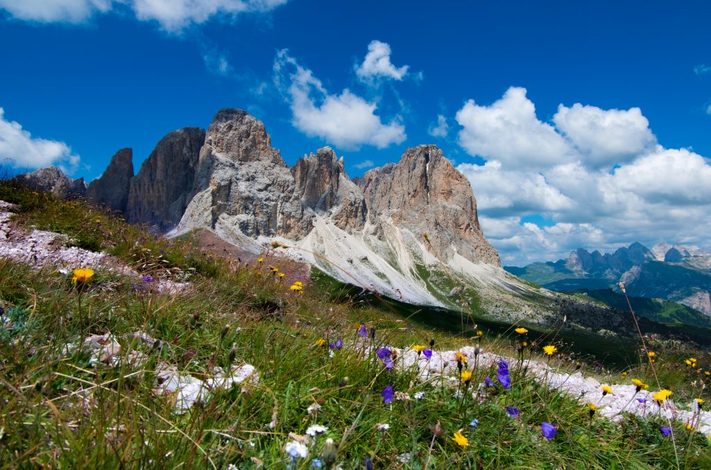 alpi, natura