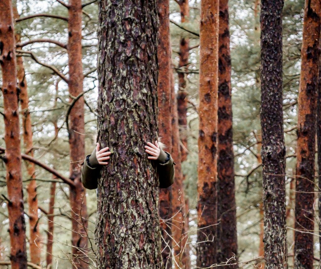 Tree hugging - Foto Vitamina Poleznova @Unsplash