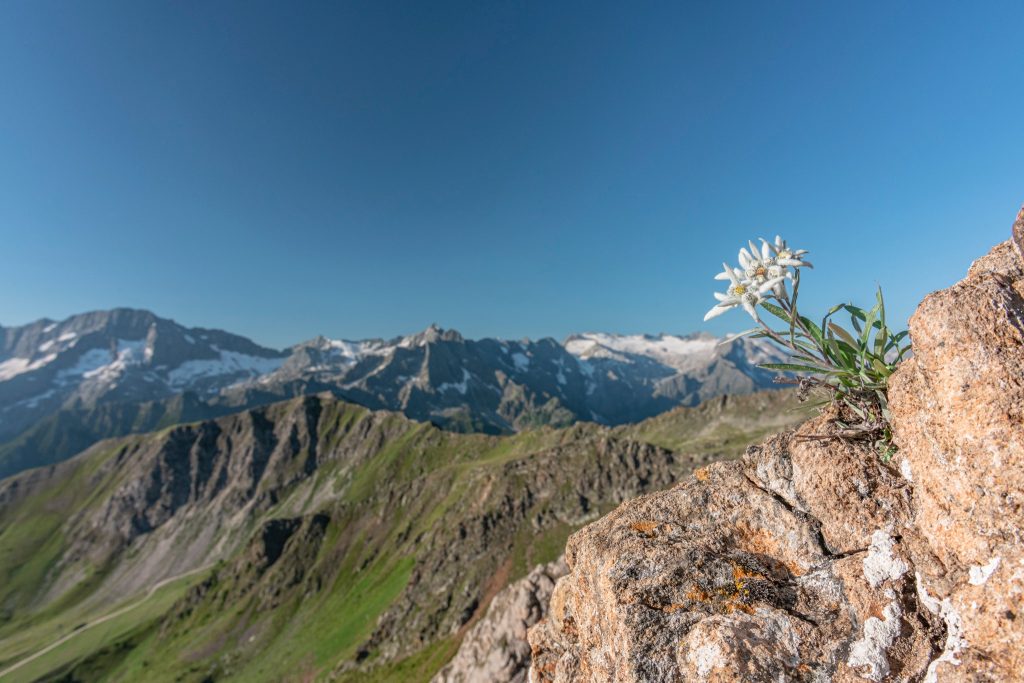Foto FB Pontedilegno-Tonale