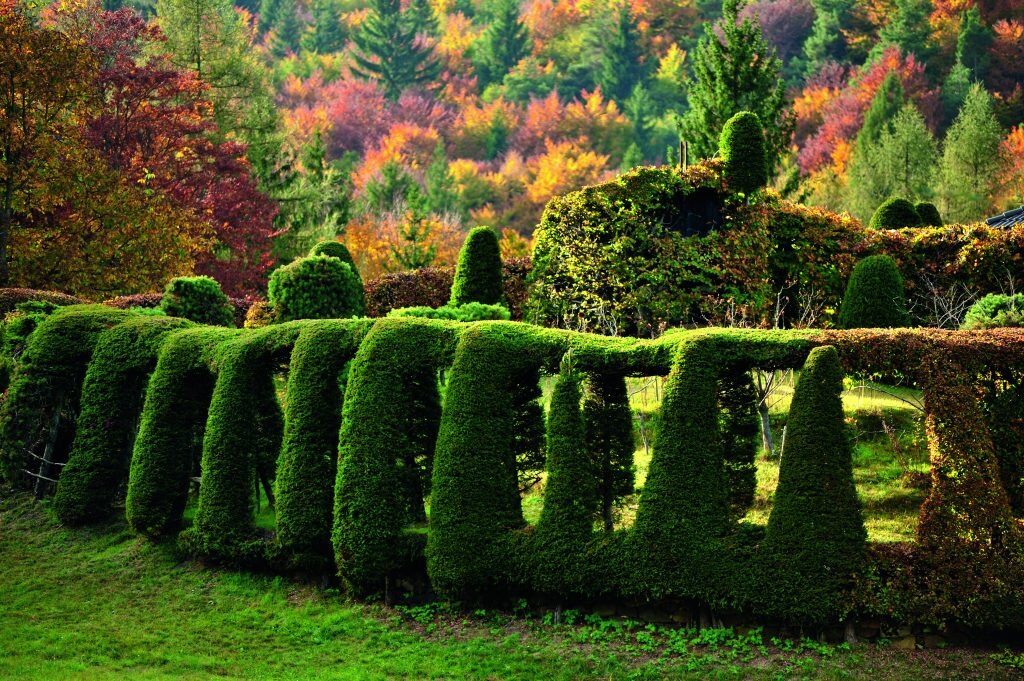 Il roccolo ancora visibile al Passo del Sauch. Sotto, l’antico edificio che ispirò a Dürer
Il mulino ad acqua. Foto @ A. Ceolan