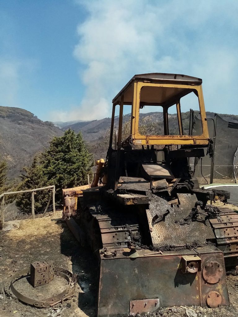 occaforte del Greco, azienda Saccà 