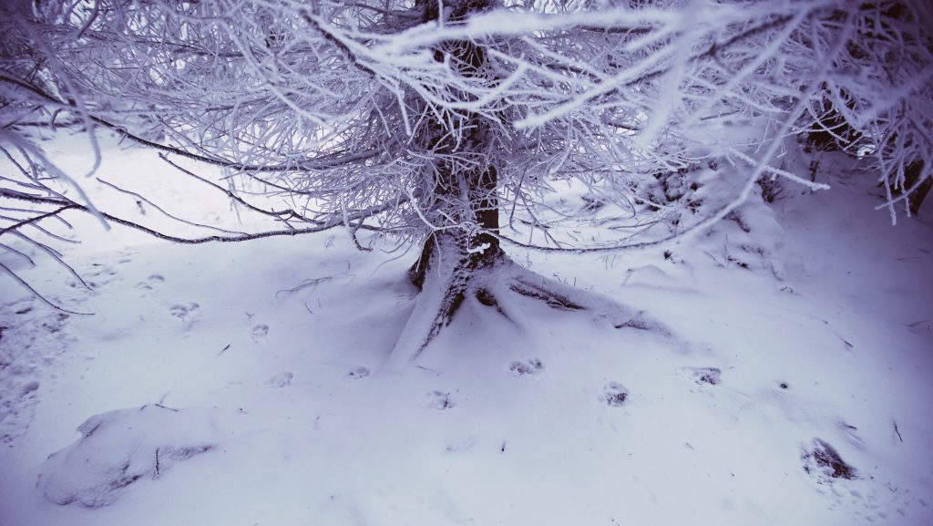 Processed with VSCO with au1 preset