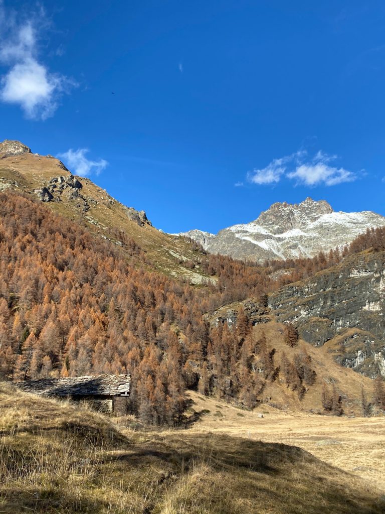 Foto Comune di Torgnon