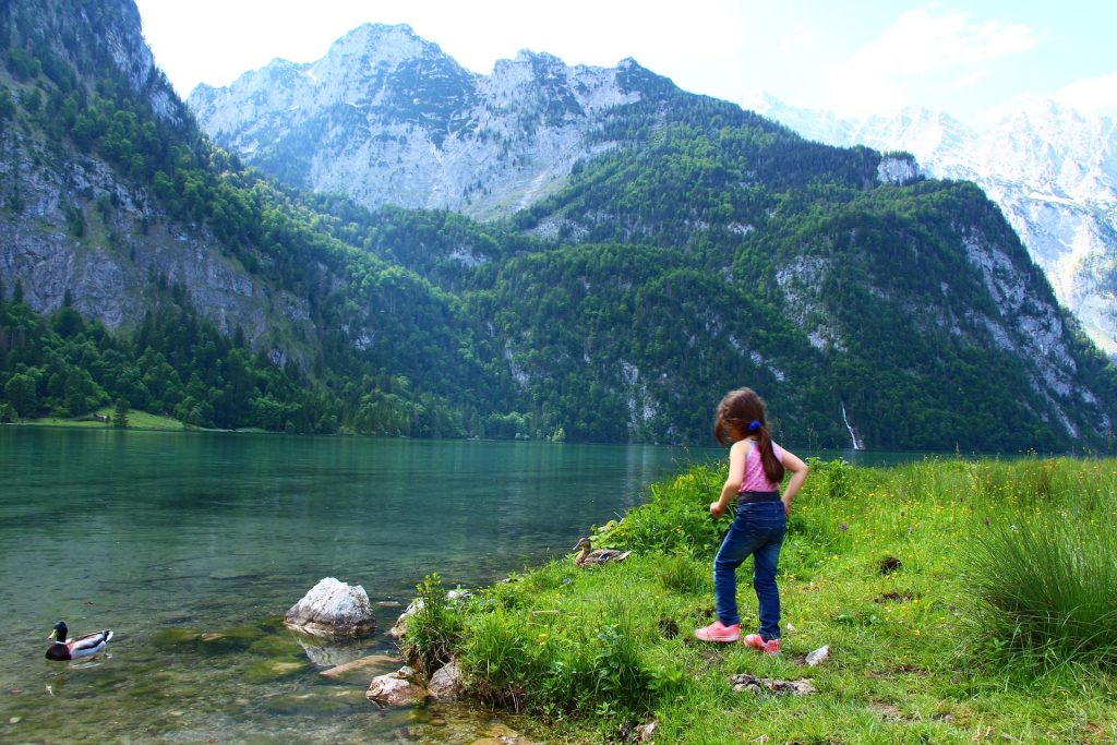 Foto Motasem Amour @Pixabay