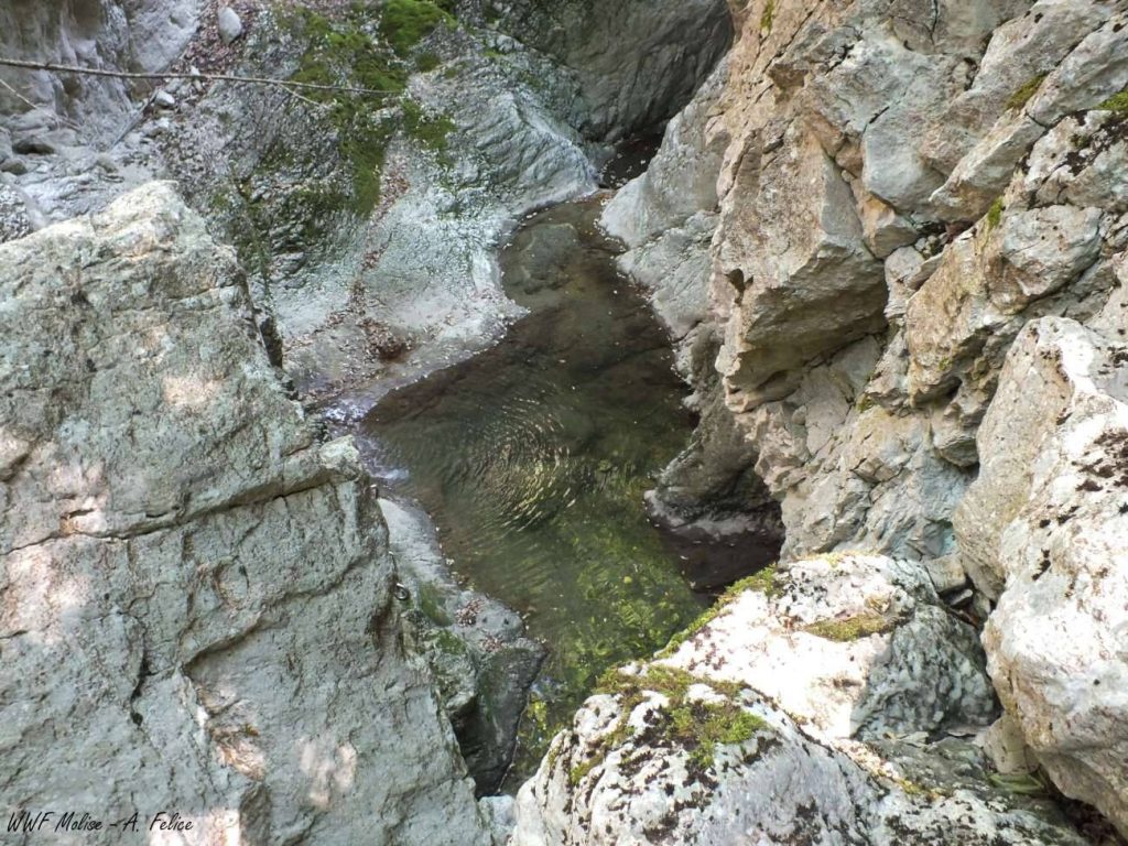 Canyon del Quirino - Foto FB WWF Molise