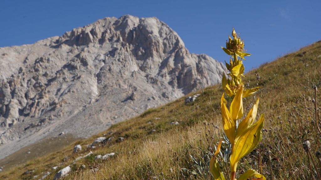 Gran Sasso - Foto FB Legambiente Alpi