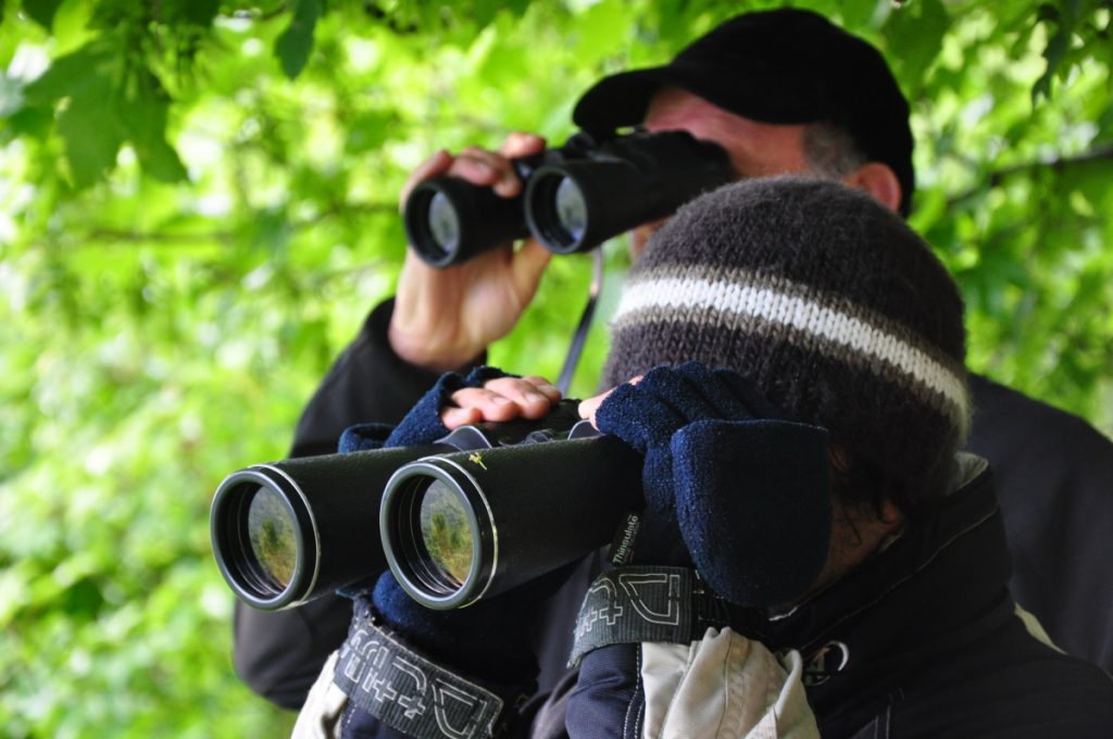 Escursionisti al Parco d